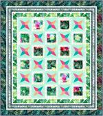 Hummingbird Snapshots by Hummingbird Snapshots by
